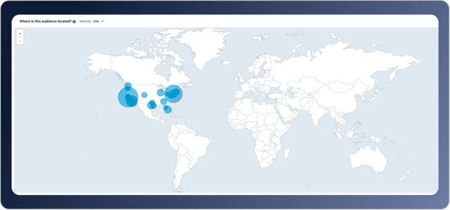 Audience for an MSP Paid Ad Campaign