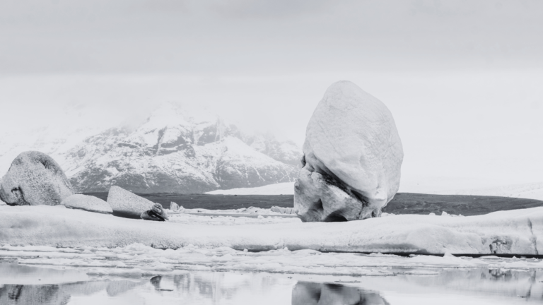 artic-tundra
